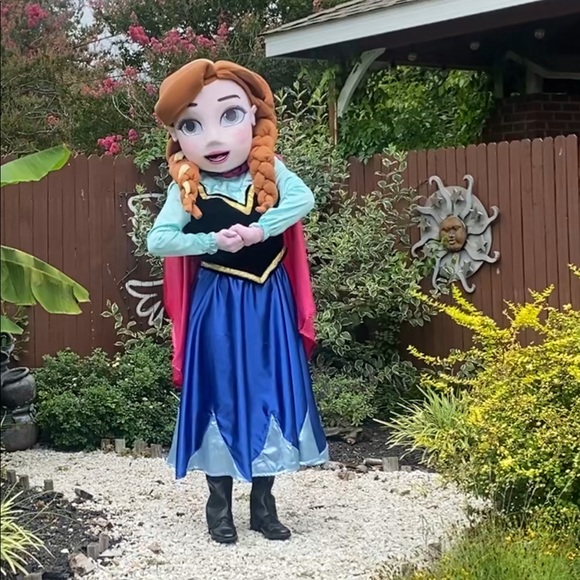 Adult costume Disney princess frozen, we can make any princess. - Picture 2 of 10